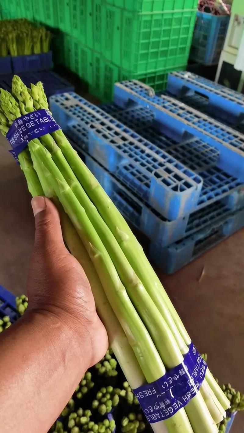 蔬菜原产地优选 #纯天然绿色食品 #优质农产品 #新鲜蔬菜